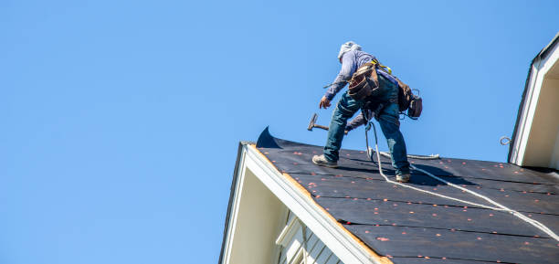 Best Roofing Contractor Near Me  in Gaylord, MI